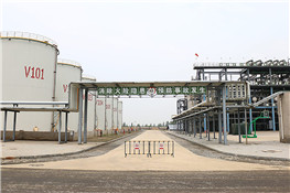 遼寧化工廠10噸燃氣冷凝鍋爐案例